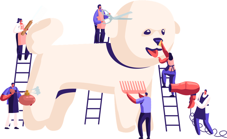 dog grooming products
