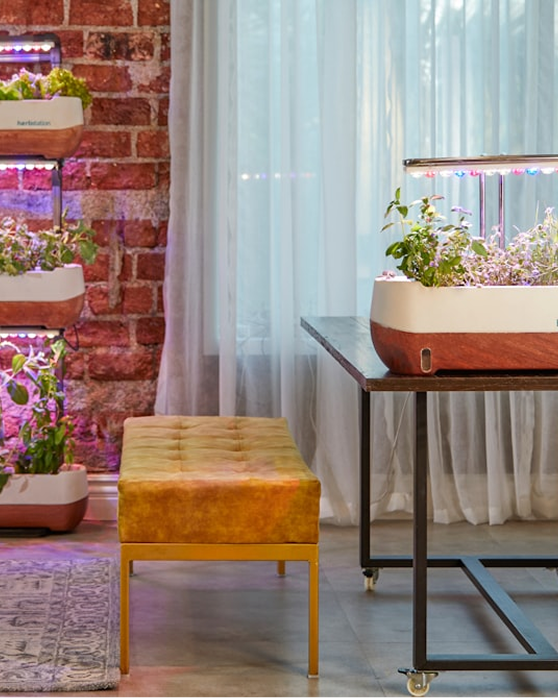 Smart indoor garden in home environment