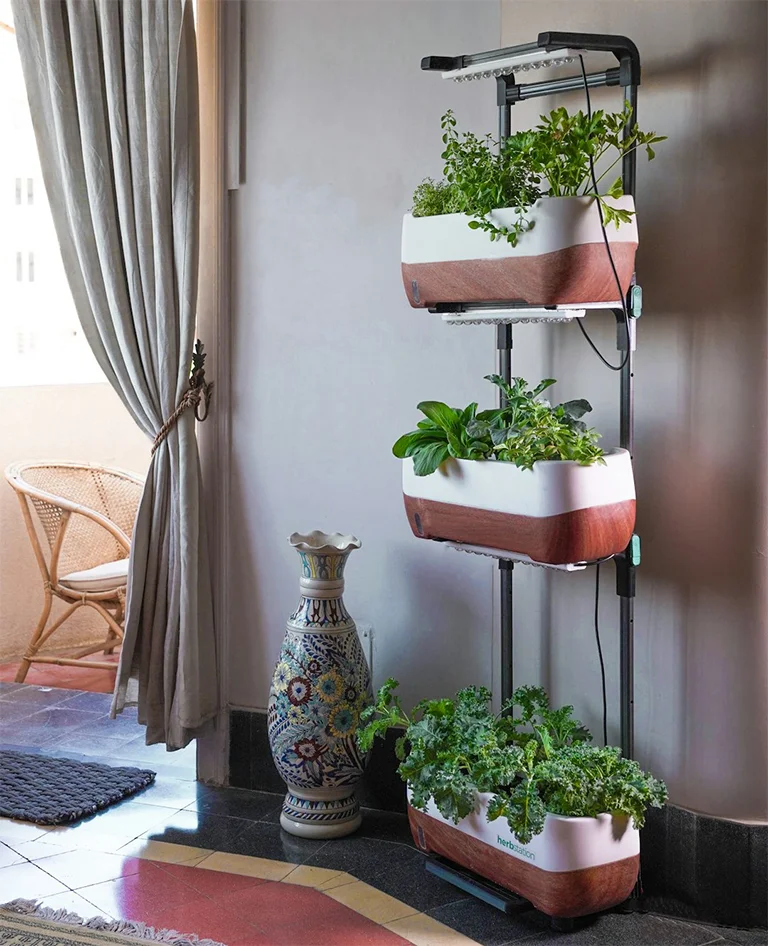 garden new